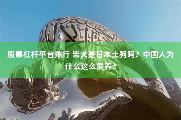 股票杠杆平台排行 柴犬是日本土狗吗？中国人为什么这么爱养？