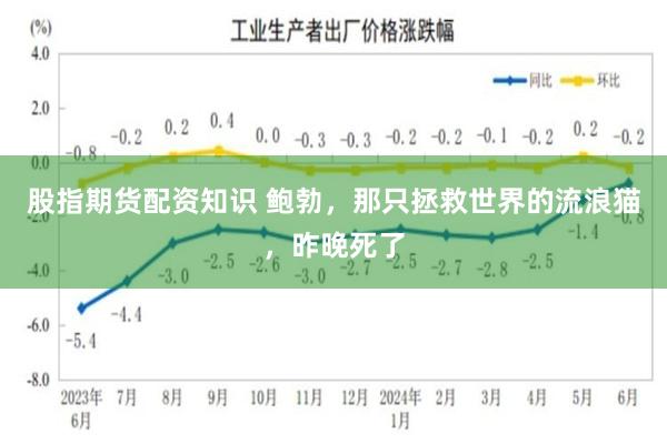 股指期货配资知识 鲍勃，那只拯救世界的流浪猫，昨晚死了