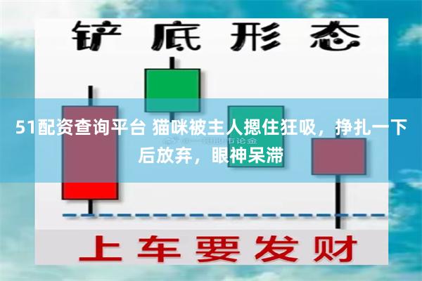 51配资查询平台 猫咪被主人摁住狂吸，挣扎一下后放弃，眼神呆滞