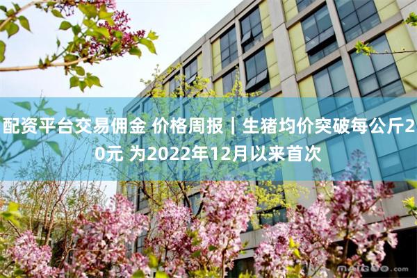 配资平台交易佣金 价格周报｜生猪均价突破每公斤20元 为2022年12月以来首次