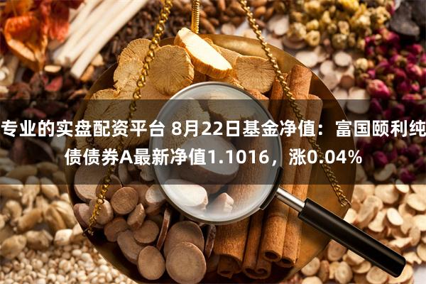 专业的实盘配资平台 8月22日基金净值：富国颐利纯债债券A最新净值1.1016，涨0.04%