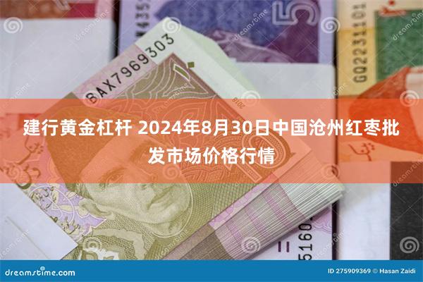 建行黄金杠杆 2024年8月30日中国沧州红枣批发市场价格行情