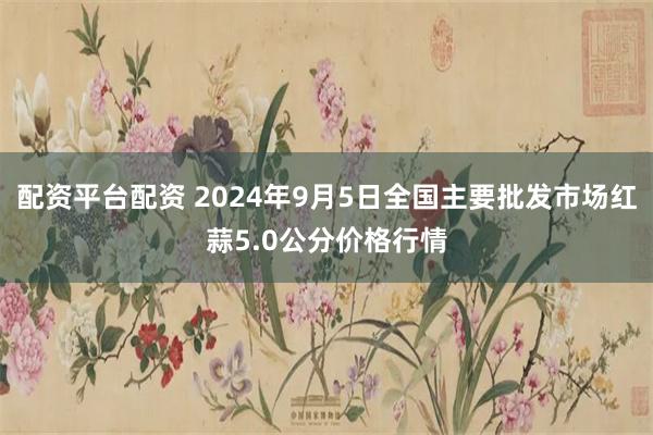 配资平台配资 2024年9月5日全国主要批发市场红蒜5.0公分价格行情