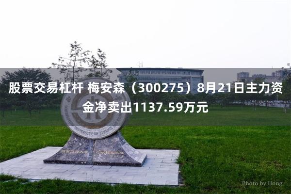 股票交易杠杆 梅安森（300275）8月21日主力资金净卖出1137.59万元