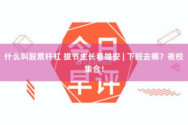 什么叫股票杆杠 拔节生长看雄安 | 下班去哪？夜校集合！