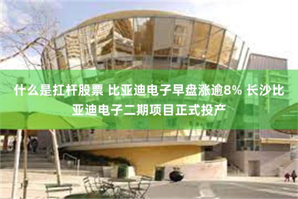 什么是扛杆股票 比亚迪电子早盘涨逾8% 长沙比亚迪电子二期项目正式投产