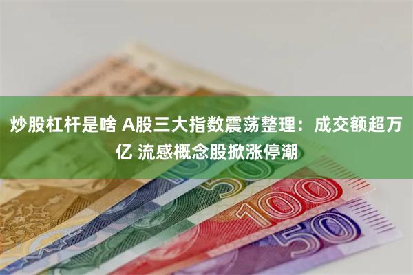 炒股杠杆是啥 A股三大指数震荡整理：成交额超万亿 流感概念股掀涨停潮