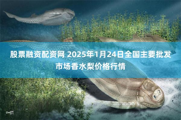 股票融资配资网 2025年1月24日全国主要批发市场香水梨价格行情