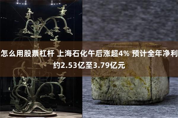 怎么用股票杠杆 上海石化午后涨超4% 预计全年净利约2.53亿至3.79亿元