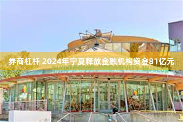 券商杠杆 2024年宁夏释放金融机构资金81亿元