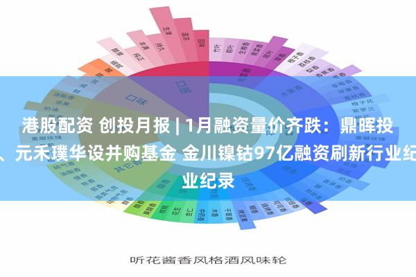 港股配资 创投月报 | 1月融资量价齐跌：鼎晖投资、元禾璞华设并购基金 金川镍钴97亿融资刷新行业纪录