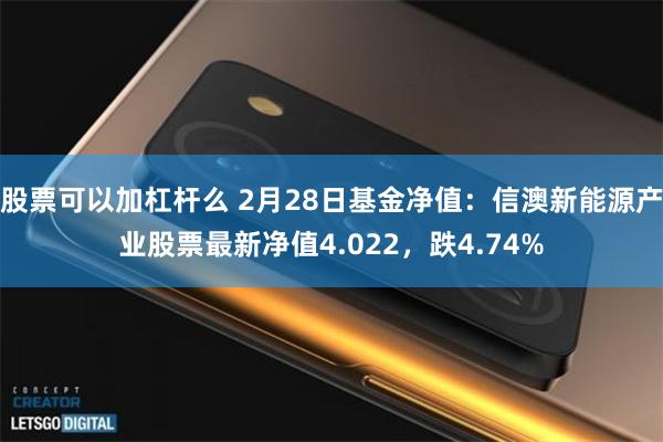 股票可以加杠杆么 2月28日基金净值：信澳新能源产业股票最新净值4.022，跌4.74%